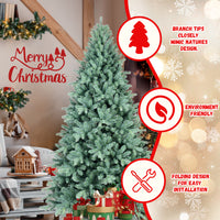 PE, PVC Christmas Tree, Christmas Decorations